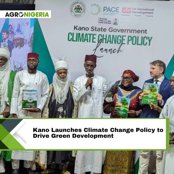 The Commissioner alongside other dignitaries at the policy launch in July 2025.